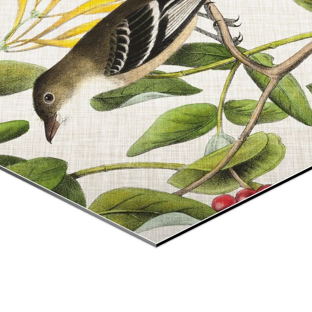 Wandbilder Vogel auf Leinen Gelb II