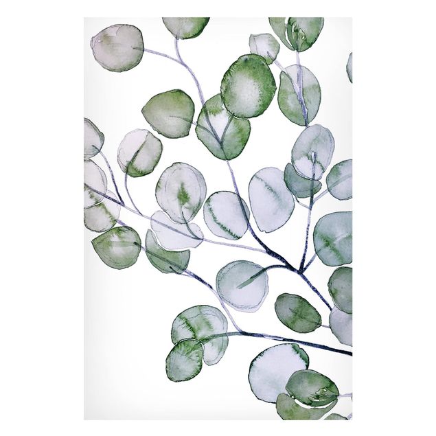 Magnettafeln Blumen Grünes Aquarell Eukalyptuszweig