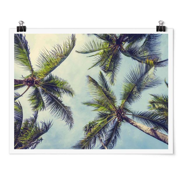 Wandbilder Floral Die Palmen