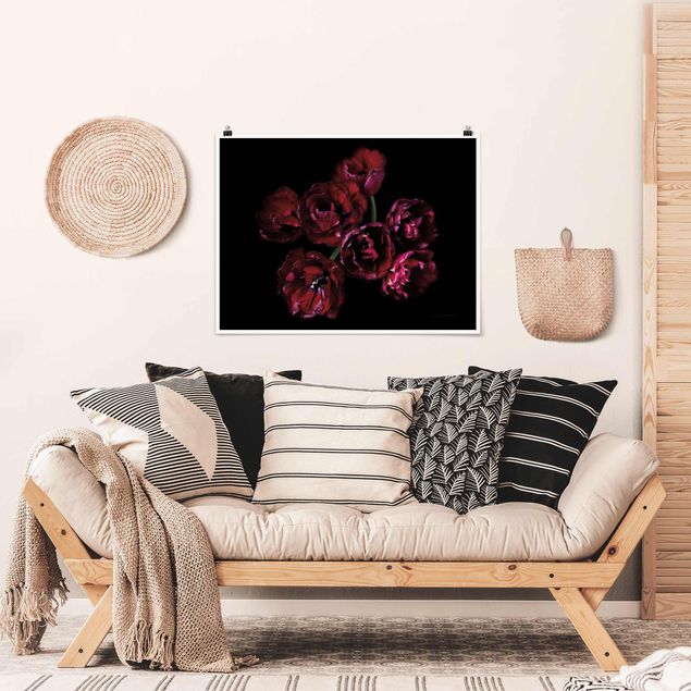 Wandbilder Floral Doppeltulpen in rot