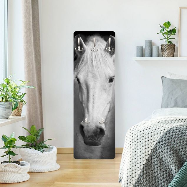 Garderobe Tiere Dream of a Horse