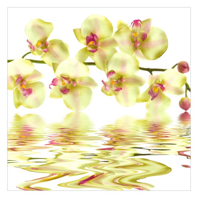 Fototapete - Dreamy Orchid Waters