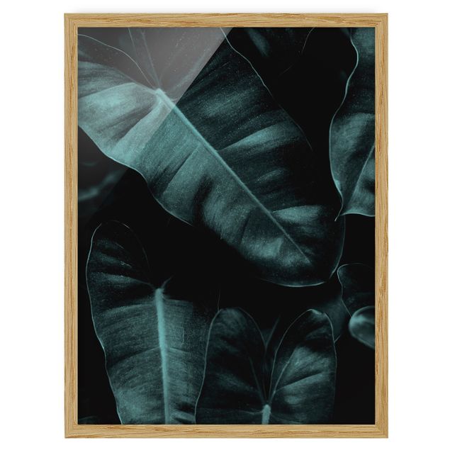 Wandbilder Floral Dschungel Blätter Dunkelgrün
