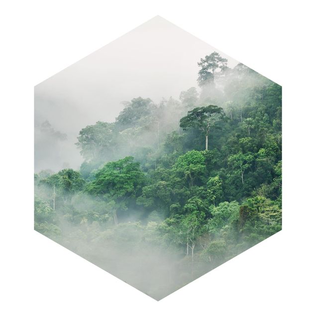 Foto Tapete Dschungel im Nebel