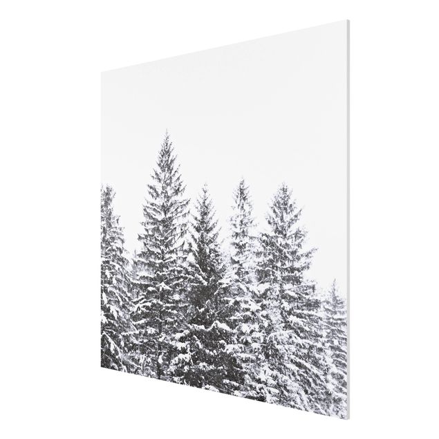 Wandbilder Landschaften Dunkle Winterlandschaft