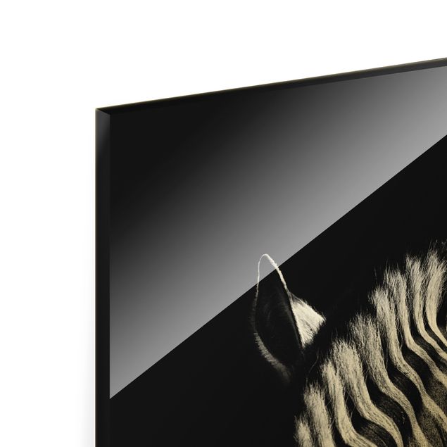 Wandbilder Schwarz-Weiß Dunkle Zebra Silhouette