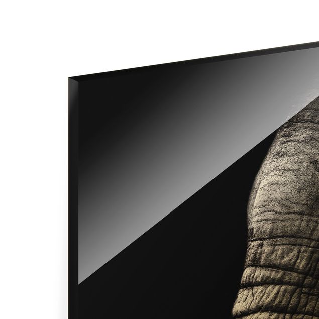 Glasbilder Tiere Dunkles Elefanten Portrait