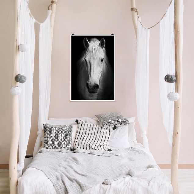 Poster schwarz-weiß Dream of a Horse
