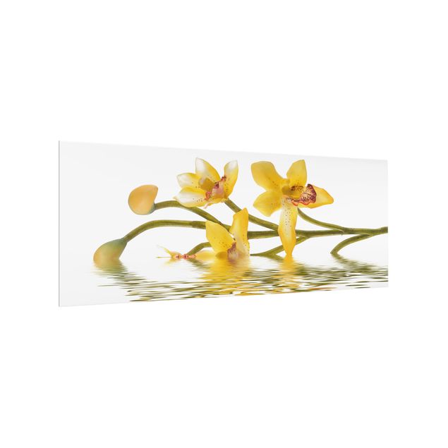 Spritzschutz Küche Glas Saffron Orchid Waters