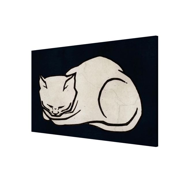 Magnettafeln Tiere Schlafende Katze Illustration