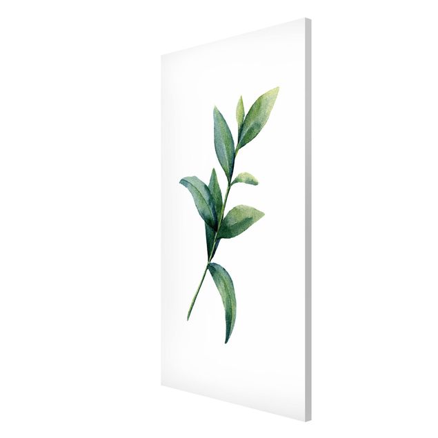 Wandbilder Floral Aquarell Eucalyptus II