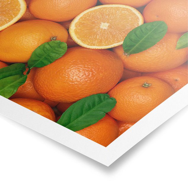 Bilder Saftige Orangen