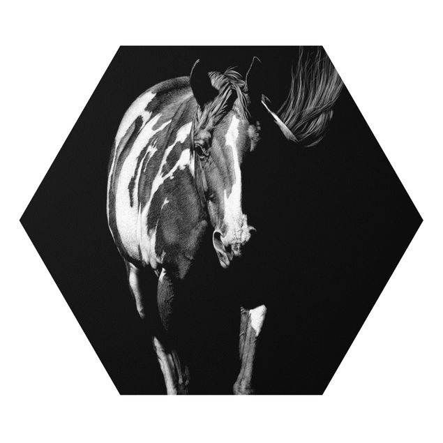 Forex Bilder Pferd vor Schwarz