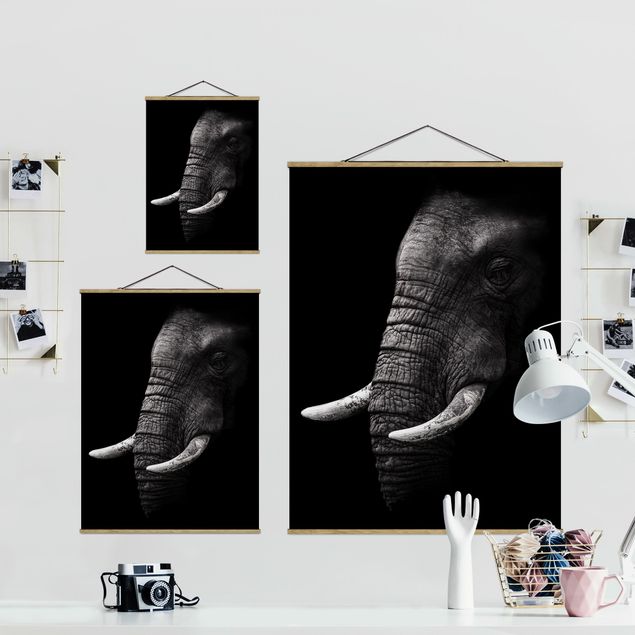 Wandbilder Modern Dunkles Elefanten Portrait