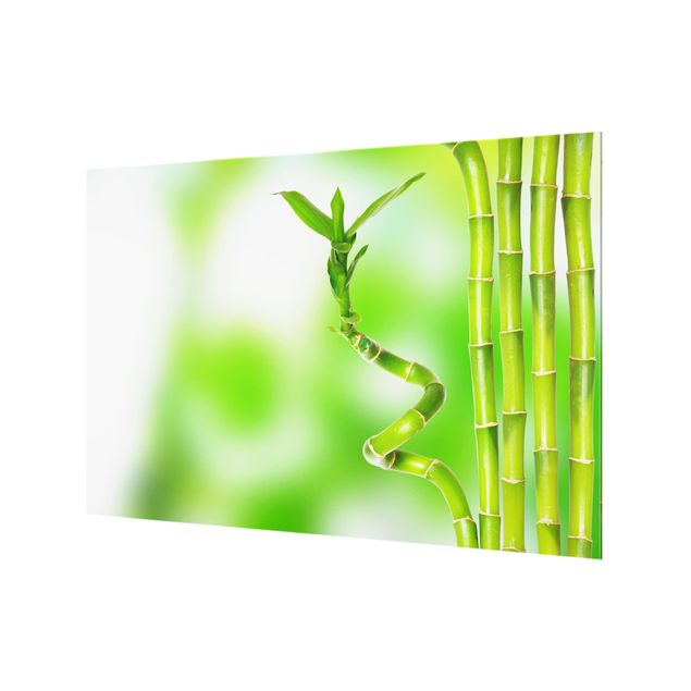 Spritzschutz Glas - Grüner Bambus - Querformat - 3:2