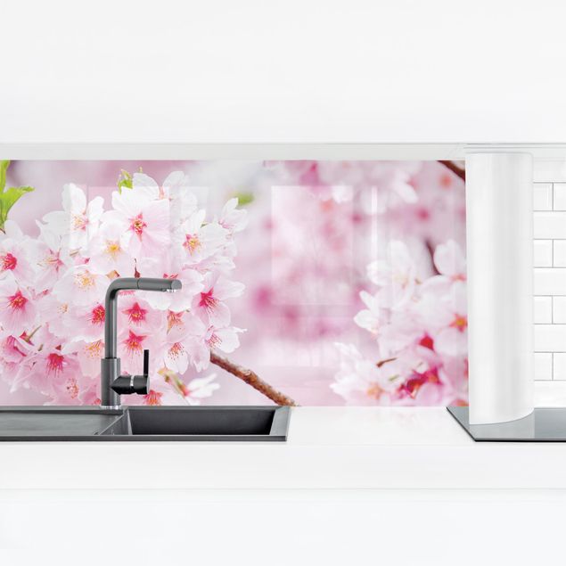 Spritzschutz Küche Glas Japanische Kirschblüten