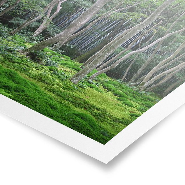 Poster Naturbilder Japanischer Wald