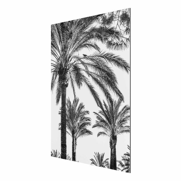 Wandbilder Floral Palmen im Sonnenuntergang Schwarz-Weiß