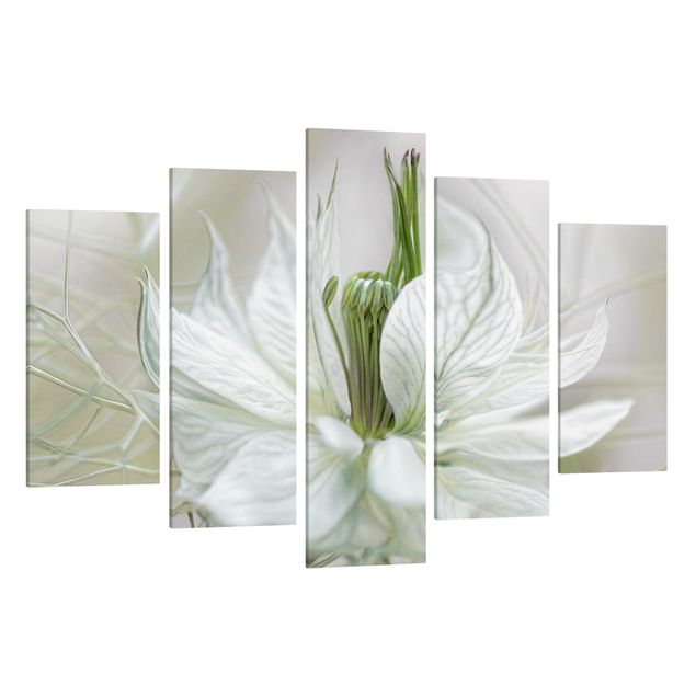 Leinwand Blumen Weiße Nigella