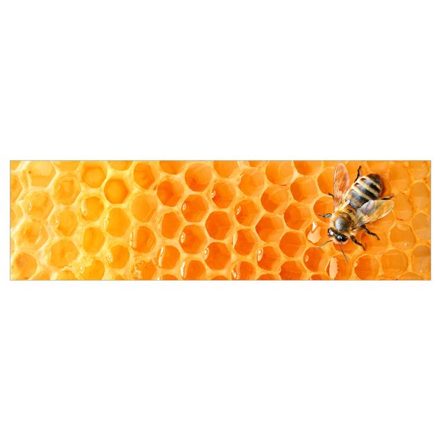 Küchenrückwand - Honey Bee