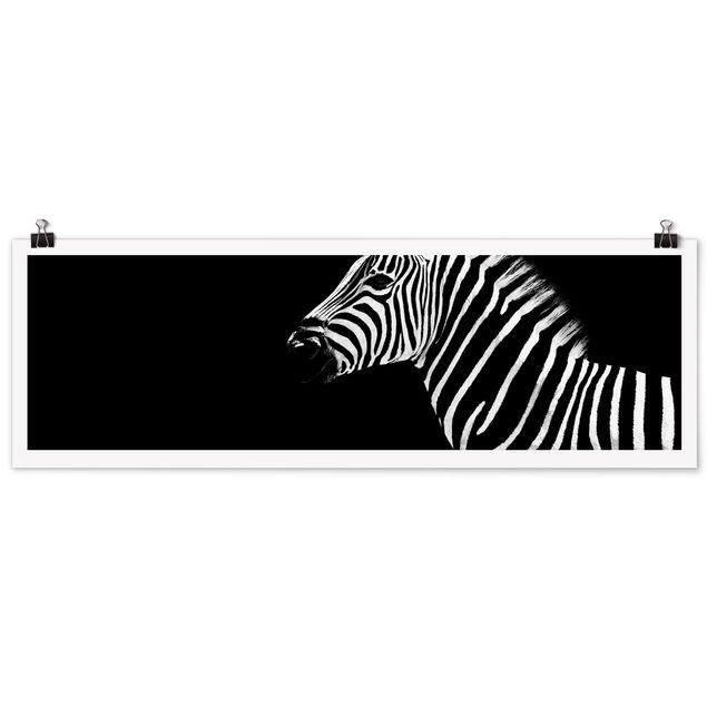 Tierposter Zebra Safari Art