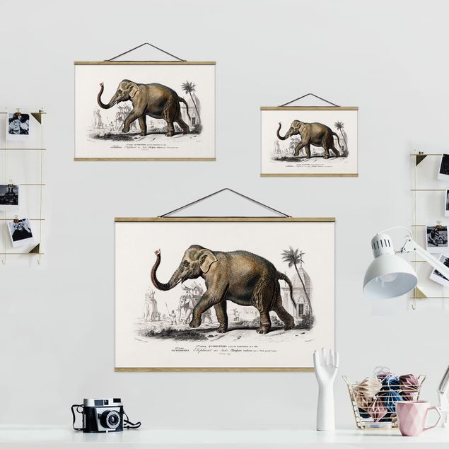 Wandbilder Vintage Vintage Lehrtafel Elefant