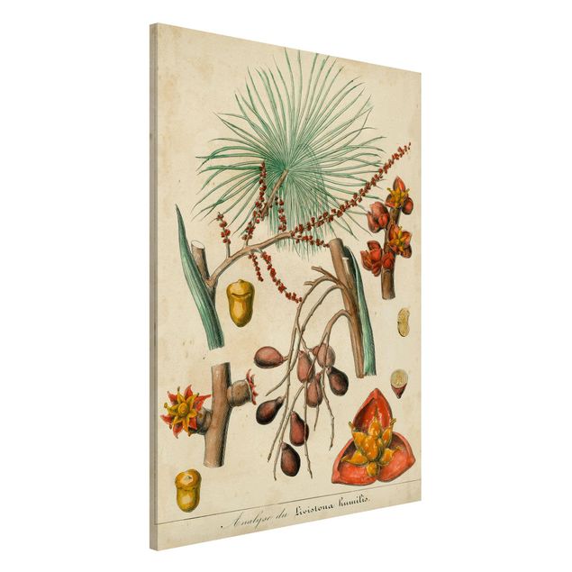 Wanddeko Küche Vintage Lehrtafel Exotische Palmen III