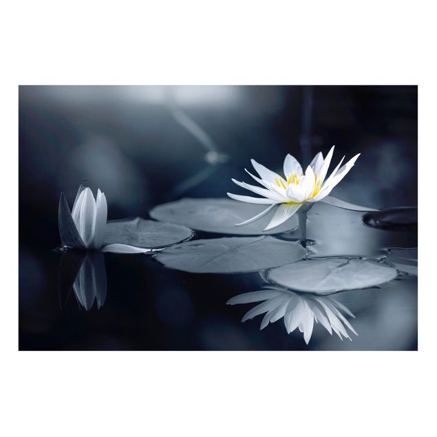Magnettafel - Lotus Spiegelung im Wasser - Hochformat 3:2