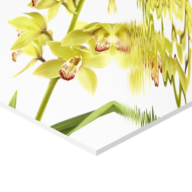 Bilder Hexagon Elegant Orchid Waters