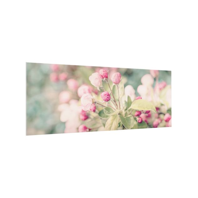 Glasrückwand Küche Apfelblüte Bokeh rosa