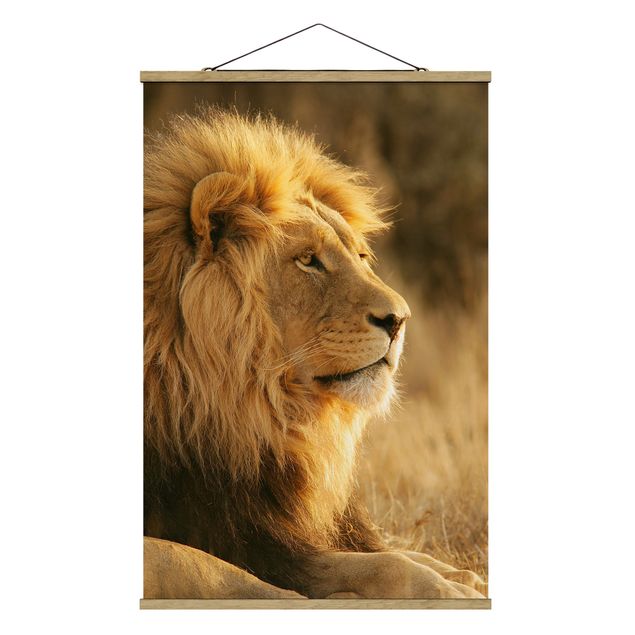 Wandbilder Natur Löwenkönig