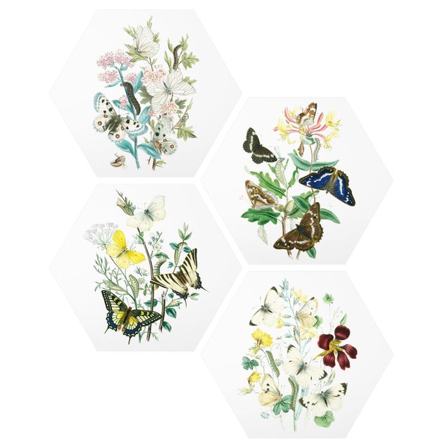 Wandbilder Blumen Britische Schmetterlinge Set II