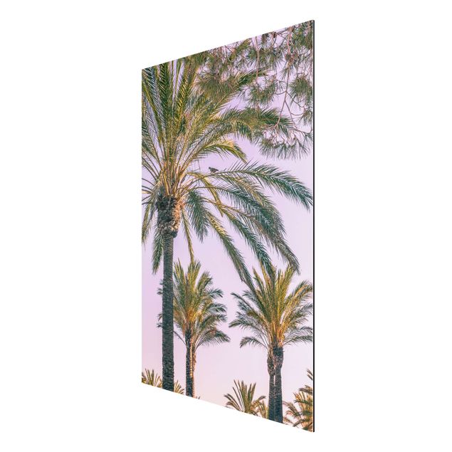 Wandbilder Floral Palmen im Sonnenuntergang