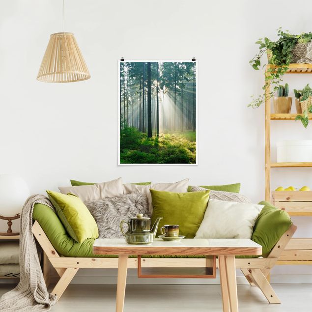 Wandbilder Bäume Enlightened Forest