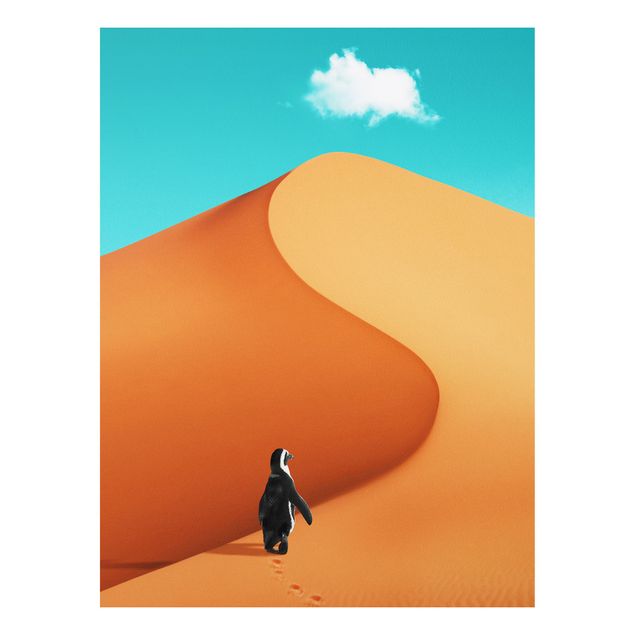 Wandbilder Landschaften Wüste mit Pinguin