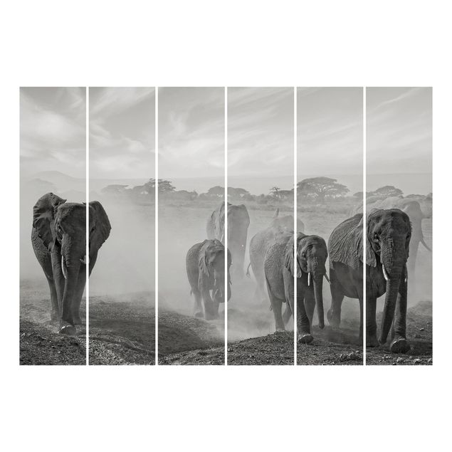 Schiebevorhänge Elefantenherde
