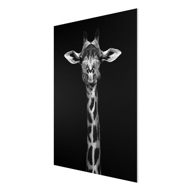 Wandbilder Afrika Dunkles Giraffen Portrait