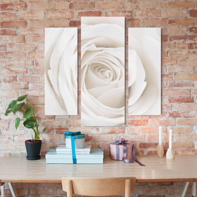 Rosen Bilder auf Leinwand Pretty White Rose