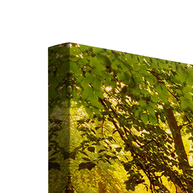 Wandbilder Architektur & Skyline Herbstwald
