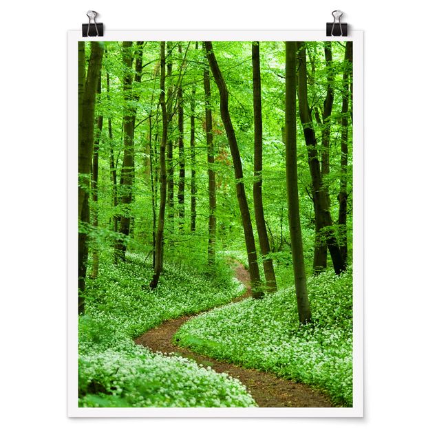 Natur Poster Romantischer Waldweg