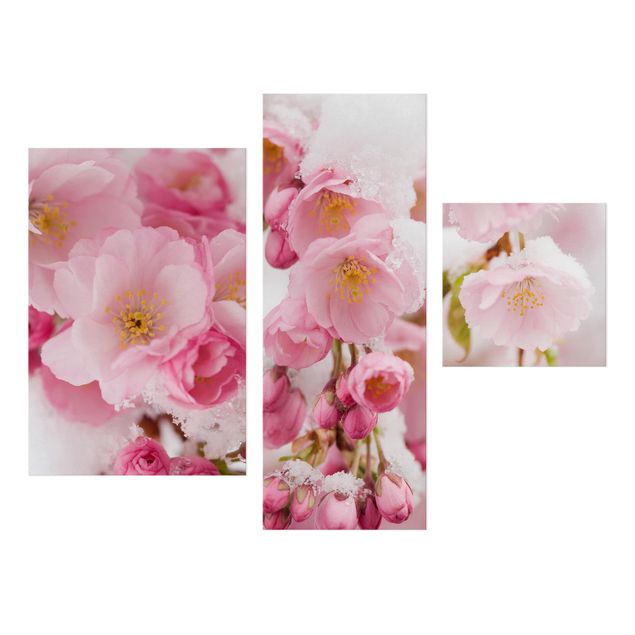 Wandbilder Floral Schneebedeckte Kirschblüten