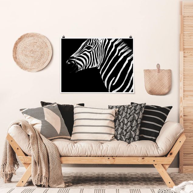 Poster schwarz-weiß Zebra Safari Art