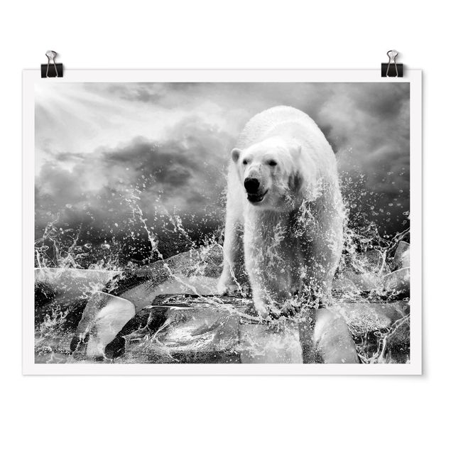 Poster Tiere King of the North II