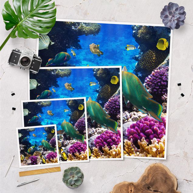 Poster Strand Underwater Dreams