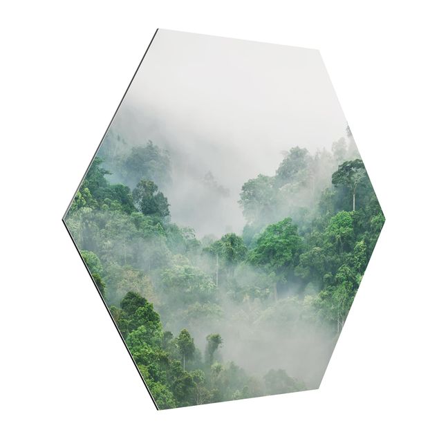 Wandbilder Dschungel Dschungel im Nebel