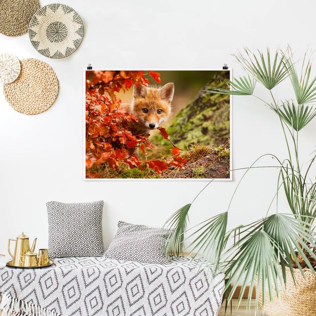 Wandbilder Bäume Fuchs im Herbst