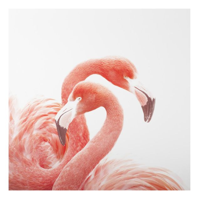 Wandbilder Federn Zwei Flamingos