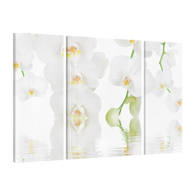 Leinwandbilder Blumen Wellness Orchidee - Weiße Orchidee