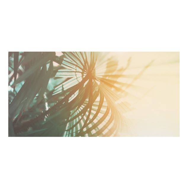 Spritzschutz Glas - Tropische Pflanzen Palmen bei Sonnenuntergang - Querformat - 2:1