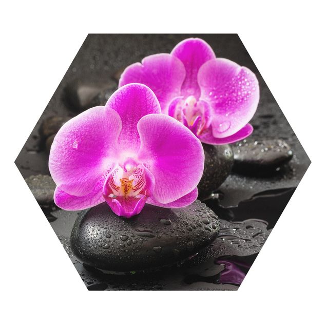 Wandbilder Kunstdrucke Pinke Orchideenblüten auf Steinen mit Tropfen
